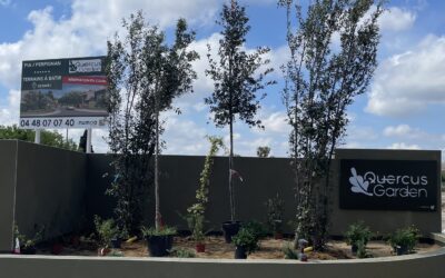 QUERCUS GARDEN