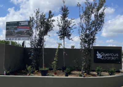QUERCUS GARDEN